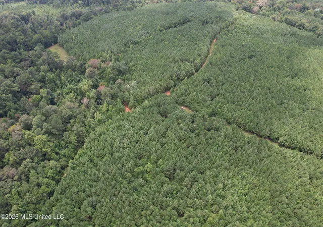 Photo 3 of Land for sale at Smith County Rd, Raleigh, MS 39153 | MLS# 4158289 | Listing updated on 2026-08-07