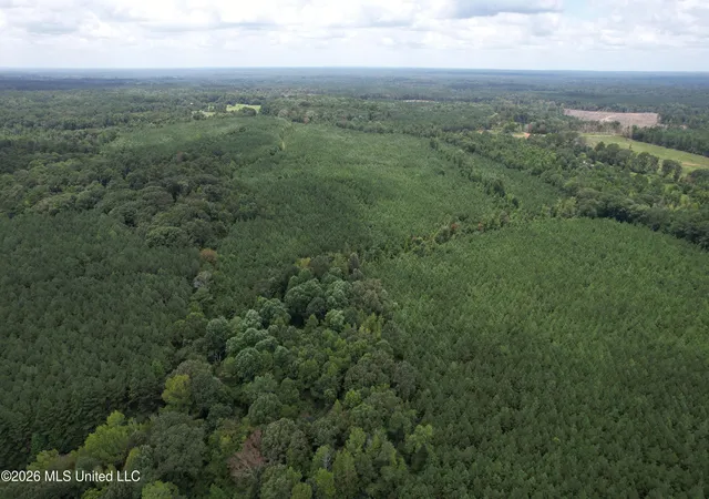 Photo 3 of Land for sale at Smith County Rd, Raleigh, MS 39153 | MLS# 4158289 | Listing updated on 2026-08-07