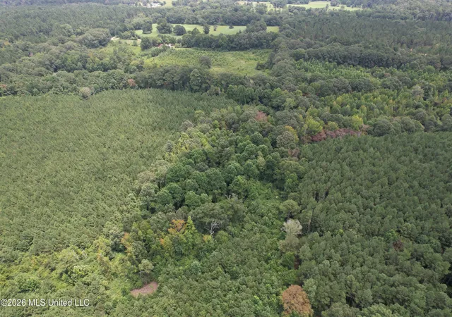 Photo 4 of Land for sale at Smith County Rd, Raleigh, MS 39153 | MLS# 4158289 | Listing updated on 2026-08-07