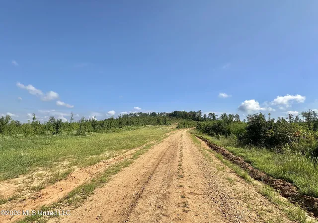 Photo 4 of Land for sale at 5 Will Womack, Mantee, MS 39751 | MLS# 4158231 | Listing updated on 2026-08-05