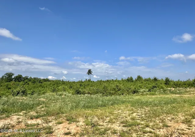 Photo 3 of Land for sale at 6 Will Womack, Mantee, MS 39751 | MLS# 4158234 | Listing updated on 2026-08-05
