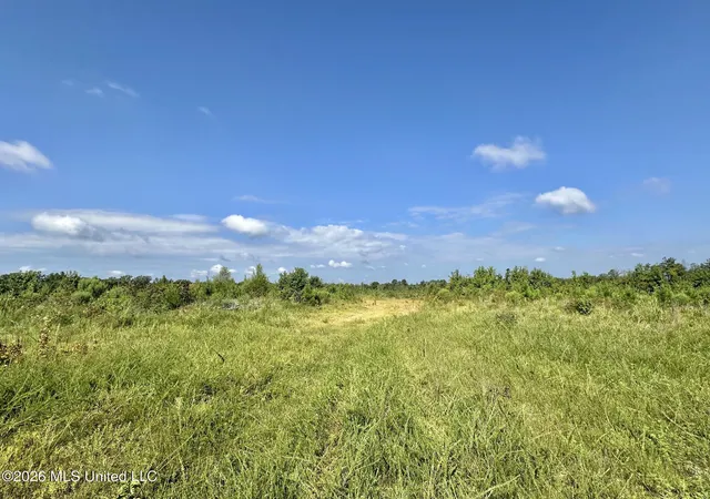 Photo 2 of Land for sale at 7 Will Womack, Mantee, MS 39751 | MLS# 4158235 | Listing updated on 2026-08-05