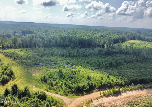 Photo 4 of Land for sale at 7 Will Womack, Mantee, MS 39751 | MLS# 4158235 | Listing updated on 2026-08-05