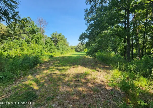 Photo 3 of Land for sale at Barnacre Rd, Batesville, MS 38606 | MLS# 4158268 | Listing updated on 2026-08-10