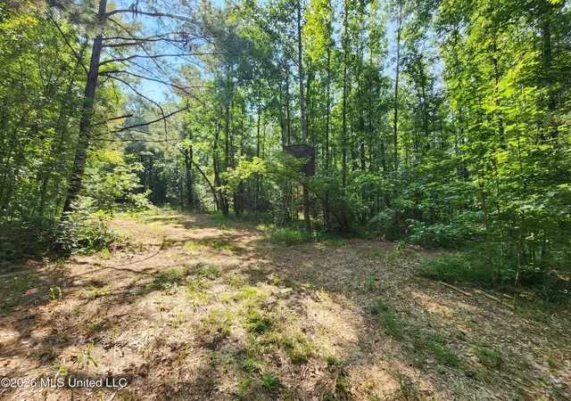 Photo 3 of Land for sale at Barnacre Rd, Batesville, MS 38606 | MLS# 4158268 | Listing updated on 2026-08-10