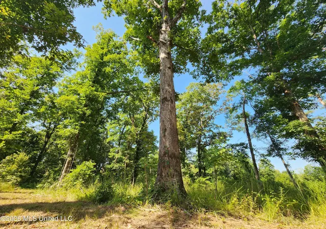 Photo 4 of Land for sale at Barnacre Rd, Batesville, MS 38606 | MLS# 4158268 | Listing updated on 2026-08-10