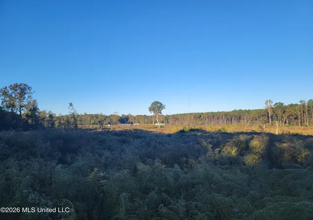 Photo 1 of Land for sale at Haralson Ln, Forest, MS 39074 | MLS# 4158269 | Listing updated on 2026-08-06