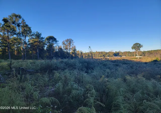 Photo 2 of Land for sale at Haralson Ln, Forest, MS 39074 | MLS# 4158269 | Listing updated on 2026-08-06
