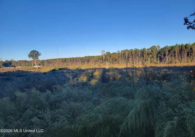 Photo 3 of Land for sale at Haralson Ln, Forest, MS 39074 | MLS# 4158269 | Listing updated on 2026-08-06