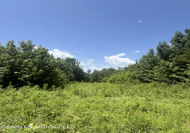 Land for sale at Burton Rd, Senatobia, MS 38668 | MLS# 4158285