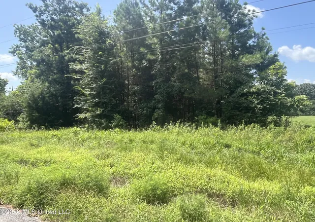 Photo 2 of Land for sale at Burton Rd, Senatobia, MS 38668 | MLS# 4158285 | Listing updated on 2026-08-07