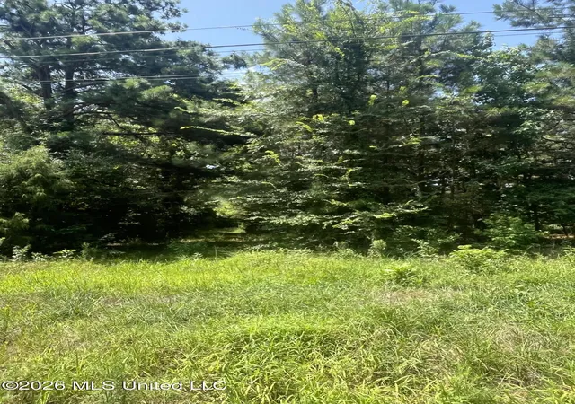 Photo 3 of Land for sale at Burton Rd, Senatobia, MS 38668 | MLS# 4158285 | Listing updated on 2026-08-07