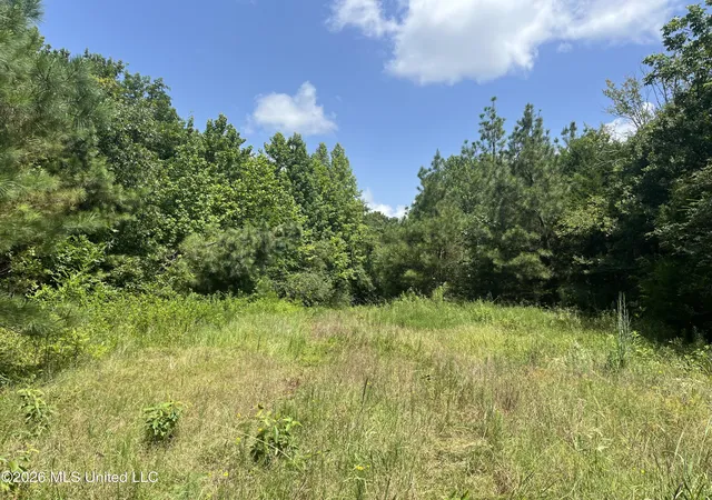 Photo 3 of Land for sale at Burton Rd, Senatobia, MS 38668 | MLS# 4158285 | Listing updated on 2026-08-07
