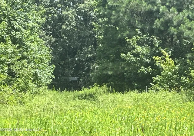 Photo 4 of Land for sale at Burton Rd, Senatobia, MS 38668 | MLS# 4158285 | Listing updated on 2026-08-07