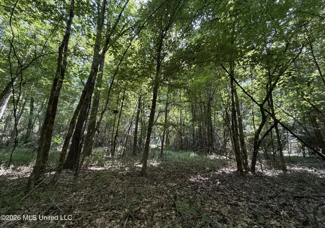 Photo 1 of Land for sale at Church Rd, Goodman, MS 39079 | MLS# 4158689 | Listing updated on 2026-08-10