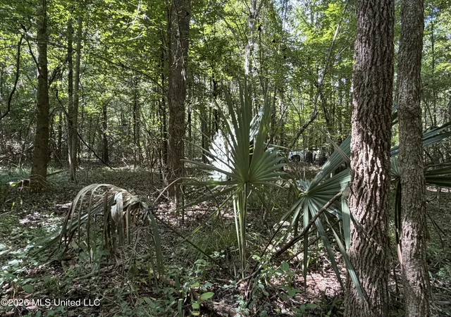 Photo 2 of Land for sale at Church Rd, Goodman, MS 39079 | MLS# 4158689 | Listing updated on 2026-08-10