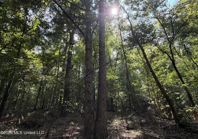 Photo 3 of Land for sale at Church Rd, Goodman, MS 39079 | MLS# 4158689 | Listing updated on 2026-08-10
