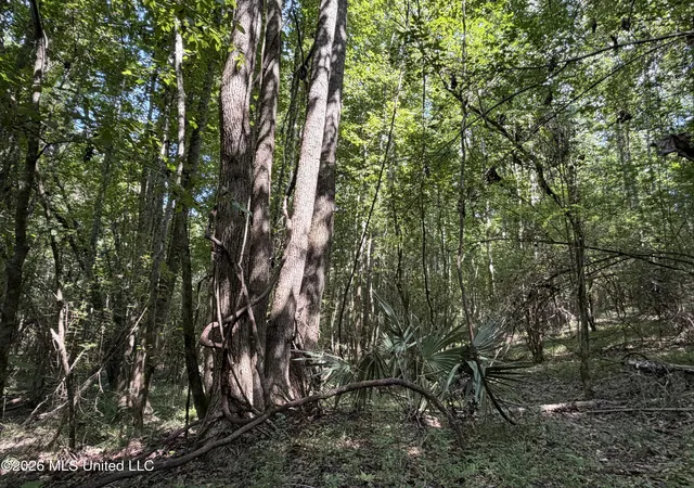 Photo 4 of Land for sale at Church Rd, Goodman, MS 39079 | MLS# 4158689 | Listing updated on 2026-08-10