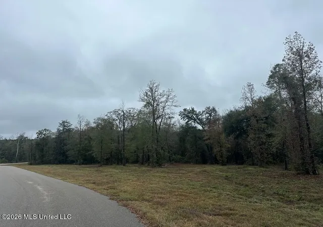 Photo 2 of Land for sale at Bent Crk, Picayune, MS 39466 | MLS# 4158304 | Listing updated on 2026-09-12