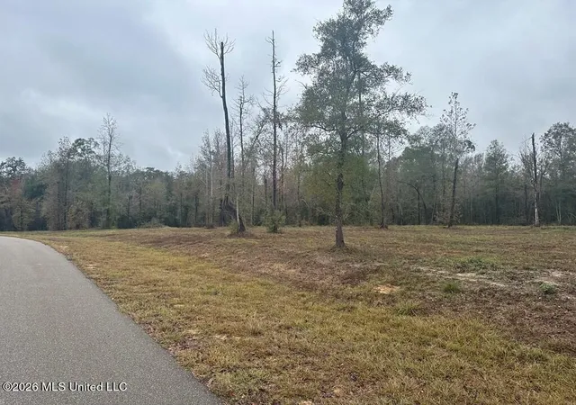 Photo 3 of Land for sale at Bent Crk, Picayune, MS 39466 | MLS# 4158304 | Listing updated on 2026-09-12