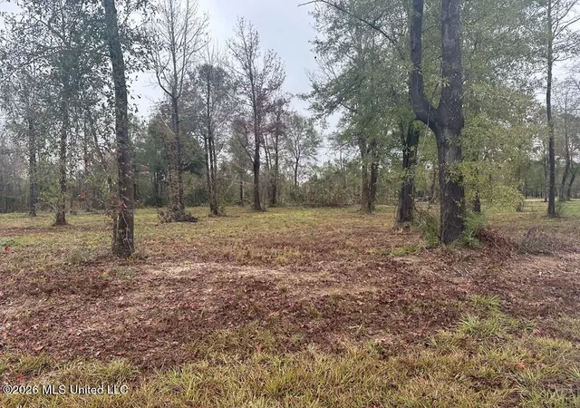 Photo 3 of Land for sale at Bent Crk, Picayune, MS 39466 | MLS# 4158304 | Listing updated on 2026-09-12