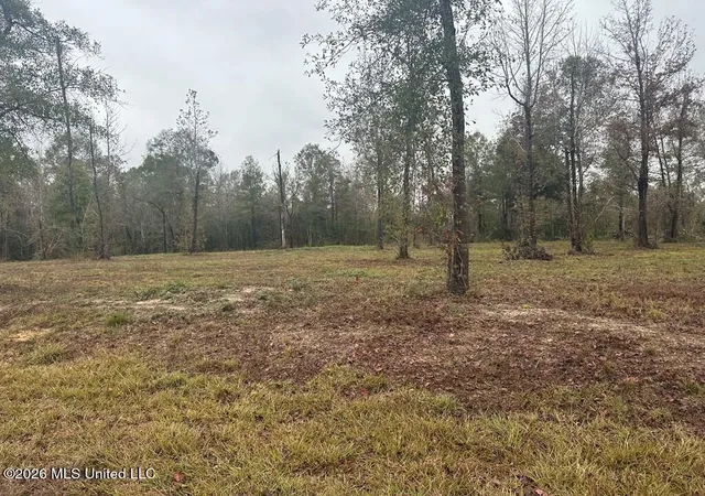 Photo 4 of Land for sale at Bent Crk, Picayune, MS 39466 | MLS# 4158304 | Listing updated on 2026-09-12
