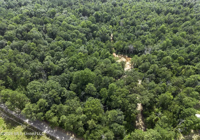Photo 3 of Land for sale at S Main St, Mendenhall, MS 39114 | MLS# 4158545 | Listing updated on 2026-09-26