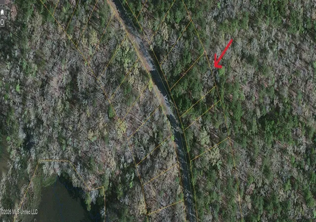 Photo 2 of Land for sale at 0 S Ross Rd, Utica, MS 39175 | MLS# 4158320 | Listing updated on 2026-10-28