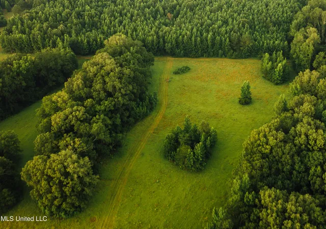 Photo 3 of Land for sale at Clinton Raymond Rd, Clinton, MS 39056 | MLS# 4158327 | Listing updated on 2026-08-06