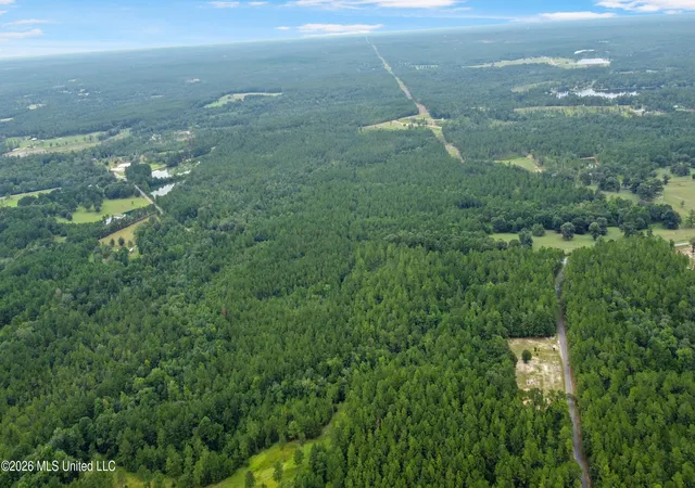 2nd image of Silver Run Progress Rd, Perkinston, MS 39573 | MLS# 4158330