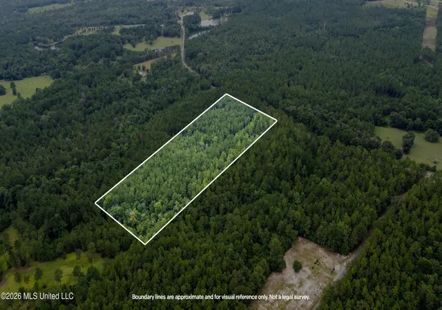 Photo 3 of Land for sale at Silver Run Progress Rd, Perkinston, MS 39573 | MLS# 4158330 | Listing updated on 2026-08-06