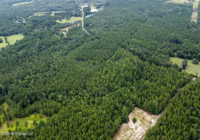 4th image of Silver Run Progress Rd, Perkinston, MS 39573 | MLS# 4158330