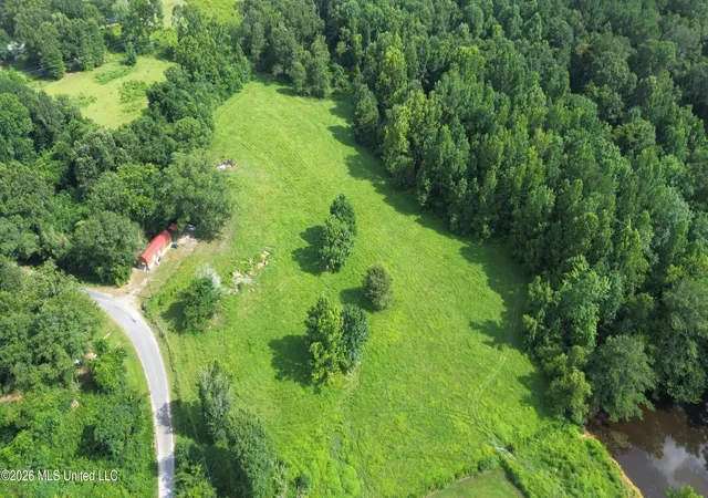 Land for sale at 386 S Co Rd 111 A, Raleigh, MS 39153 | MLS# 4158333