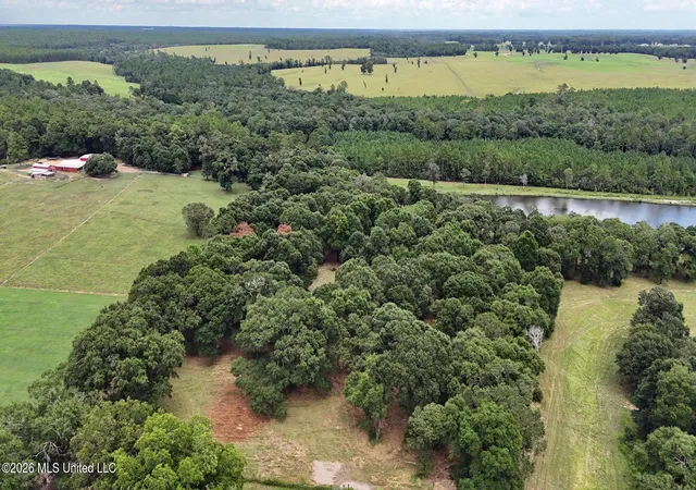 Photo 3 of Land for sale at 148 Acres Country Oak Cir, Lucedale, MS 39452 | MLS# 4158514 | Listing updated on 2026-08-08
