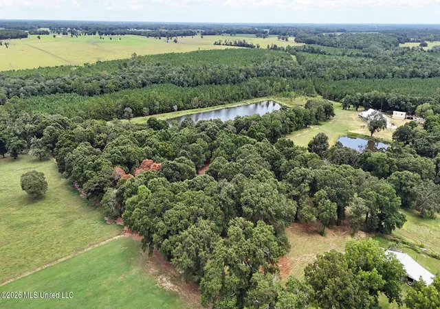 Photo 3 of Land for sale at 148 Acres Country Oak Cir, Lucedale, MS 39452 | MLS# 4158514 | Listing updated on 2026-08-08