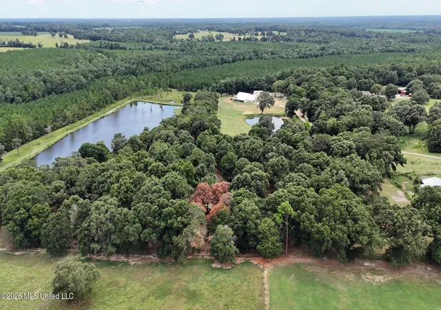 Photo 4 of Land for sale at 148 Acres Country Oak Cir, Lucedale, MS 39452 | MLS# 4158514 | Listing updated on 2026-08-08
