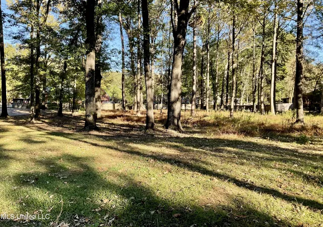 Photo 2 of Land for sale at 0 Lafayette Cir, Clinton, MS 39056 | MLS# 4158360 | Listing updated on 2026-08-06