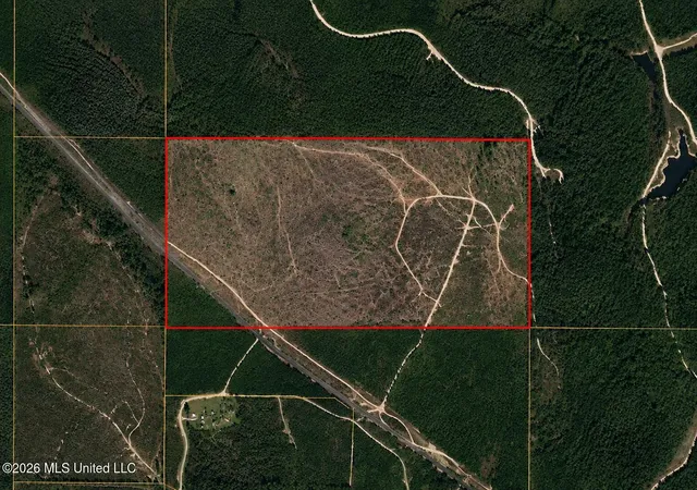 1st image of 80 Acres Off Of Farmer Dr, Richton, MS 39476 | MLS# 4158366