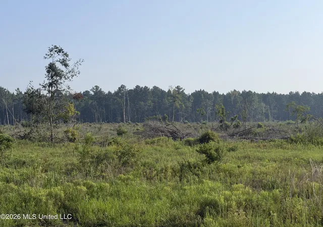 2nd image of 80 Acres Off Of Farmer Dr, Richton, MS 39476 | MLS# 4158366