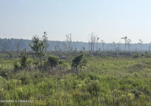 3rd image of 80 Acres Off Of Farmer Dr, Richton, MS 39476 | MLS# 4158366