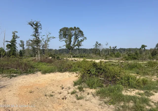 4th image of 80 Acres Off Of Farmer Dr, Richton, MS 39476 | MLS# 4158366
