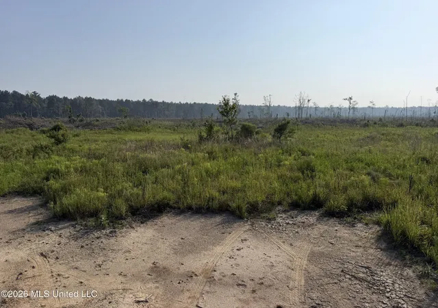 5th image of 80 Acres Off Of Farmer Dr, Richton, MS 39476 | MLS# 4158366