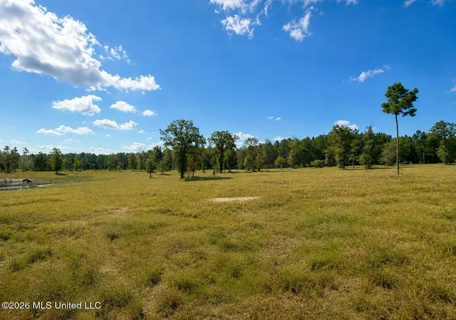 1st image of 509 Ac +/  Industrial Park Rd, Leakesville, MS 39451 | MLS# 4158483