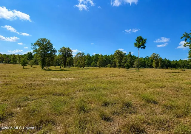 2nd image of 509 Ac +/  Industrial Park Rd, Leakesville, MS 39451 | MLS# 4158483