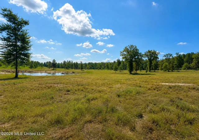 3rd image of 509 Ac +/- Industrial Park Rd, Leakesville, MS 39451 | MLS# 4158483