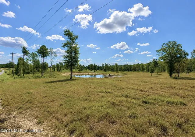 4th image of 509 Ac +/- Industrial Park Rd, Leakesville, MS 39451 | MLS# 4158483