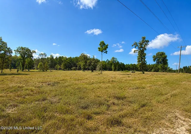 5th image of 509 Ac +/- Industrial Park Rd, Leakesville, MS 39451 | MLS# 4158483