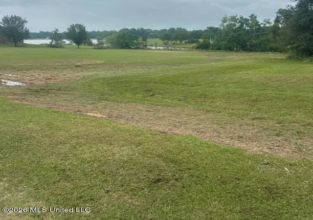 Photo 3 of Land for sale at Nhn Shore Crst Cir, Carriere, MS 39426 | MLS# 4158376 | Listing updated on 2026-08-13