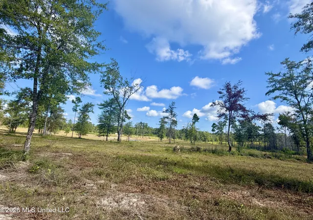 2nd image of 568 Ac +/  Industrial Park Rd, Leakesville, MS 39451 | MLS# 4158488