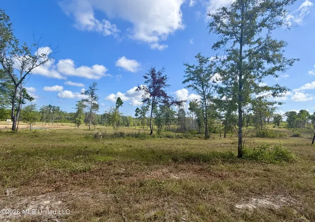 3rd image of 568 Ac +/- Industrial Park Rd, Leakesville, MS 39451 | MLS# 4158488